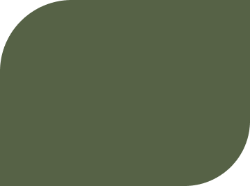 rectangle1