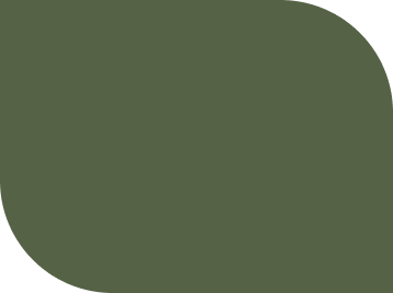 rectangle1